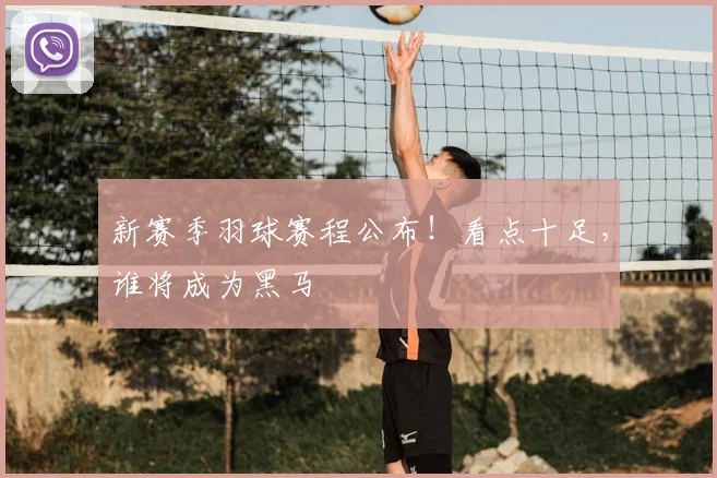 新赛季羽球赛程公布！看点十足，谁将成为黑马